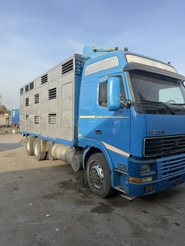скупка аварийных машин: Грузовик, Volvo