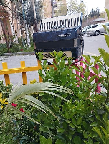 bayan aləti: Bayandır düyməli akkordeon Məhsul təsviri: - Klaviatura tərəfi — 7