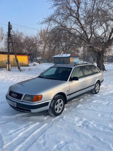 Audi: Audi 100: 1994 г., 2.3 л, Механика, Бензин, Универсал