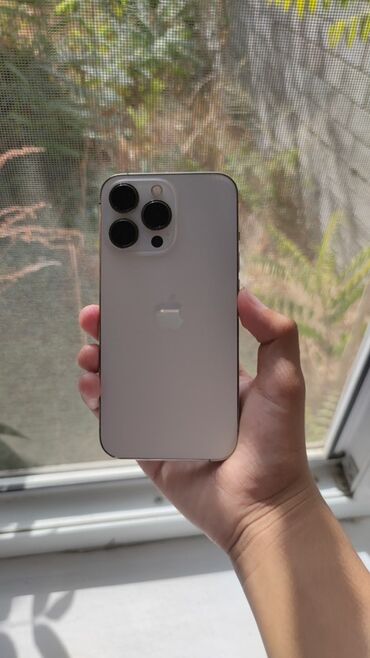 купить кейс для airpods 3 оригинал: IPhone 13 Pro, Б/у, 256 ГБ, Matte Gold, 77 %