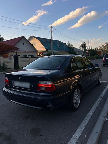 bmw e39 2 5: BMW 5 series: 2002 г., 2.5 л, Автомат, Бензин, Седан — 4