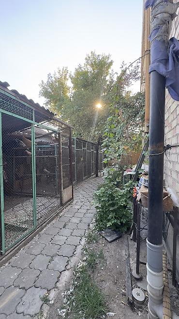 дом на комсомольской: ПРОДАЁТСЯ ДВУХЭТАЖНЫЙ ДОМ НА СЕЧЕНОВА! 📍 Сеченова / Васильева — — 3