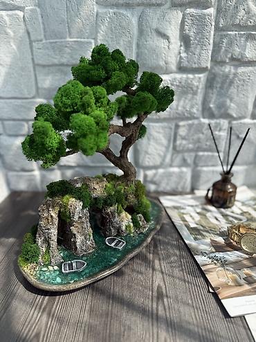 Другой декор и предметы интерьера: В переводе с японского Бонсай означает «дерево, выращенное в блюде» — 55