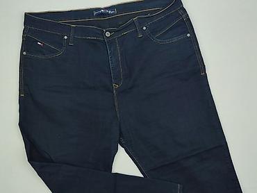 tommy rose: Tommy Hilfiger, Jeansy damskie, rozmiar 4XL — 1