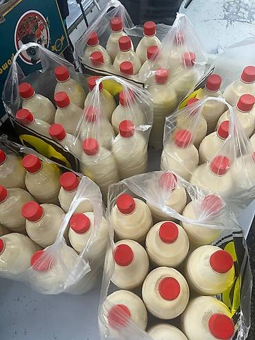 Молочные продукты и яйца: Домашнее молоко, сметана, сары май, кымыз (Бишкек) Описание — 1