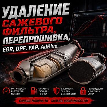 devo tiko: Прошивка авто Переход на нормы токсичности Евро-2/Евро-0 (Отключение — 1