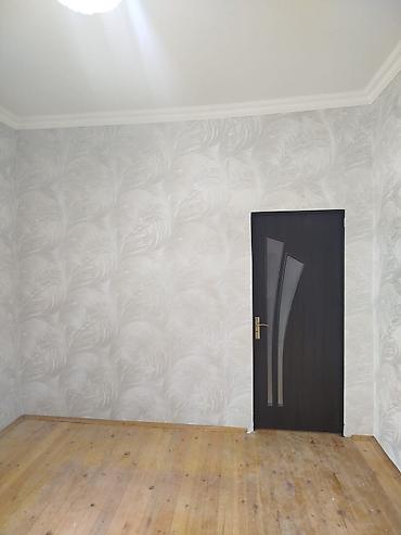 rəngli şar şəkilləri: Malyar Aboy emusya ustası 0703299690 — 4