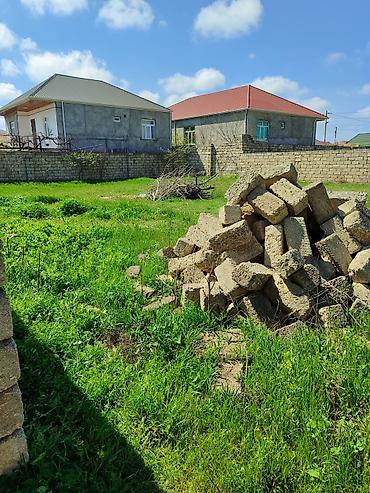 pulsuz elan yerləşdir: 5 sot, Kənd təsərrüfatı, Mülkiyyətçi, Kupça (Çıxarış) — 2
