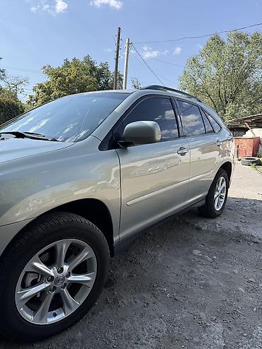 продаю автобусы: Lexus RX: 2008 г., 3.5 л, Автомат, Бензин, Кроссовер — 1