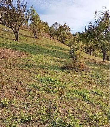 ismayilli torpag: 6 sot, Tikinti, Mülkiyyətçi, Kupça (Çıxarış) — 4