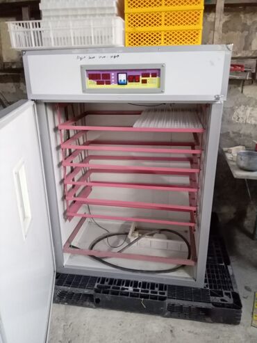Digər kənd təssərüfat avadanlığı: 1100 yumurta, Çin, Bütün növ quşlaq üçün