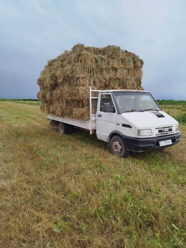 ош фура: Жеңил жүк ташуучу унаа, Iveco, Стандарт, 1ге чейин т