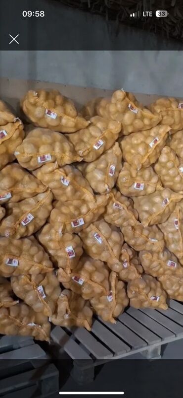 овощная полка для магазина: Картошка Джелли, Дүңүнөн