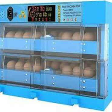 inkubator mini: Çin, Fabrik istehsalı, Tam avtomat, Bütün növ quşlaq üçün