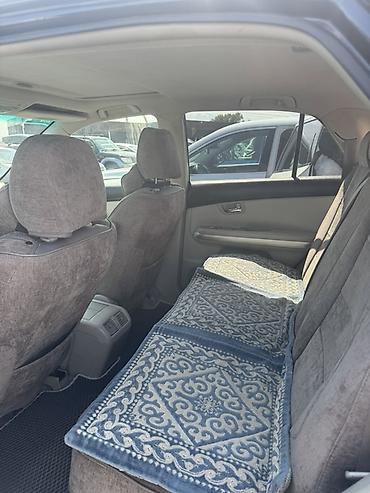 Lexus: Lexus RX: 2006 г., Автомат, Бензин, Кроссовер — 8