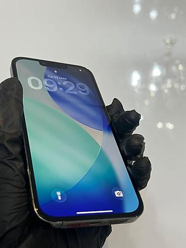 Apple iPhone: IPhone 13 Pro Max, Б/у, 512 ГБ, Графит, 77 % — 6