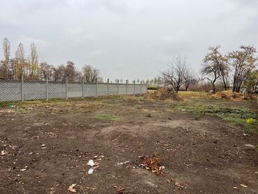 купить дом в ивановке: 4 соток, Для строительства, Красная книга