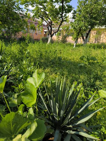 Продажа домов: Дом, 1441 м², 8 комнат — 43