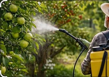 Опрыскиватели: Опрыскиватель Ранцевый — 2