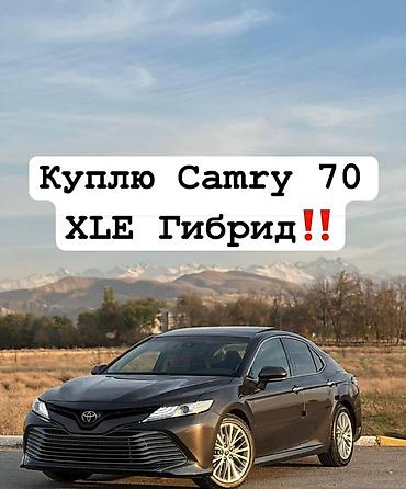крыло камри под крылник: Покупка: Toyota Camry 70 XLE Hybrid Ищу к покупке автомобиль Toyota — 1