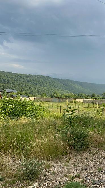 şəkidə torpaq: 13 sot, Biznes üçün, Makler, Kupça (Çıxarış) — 10