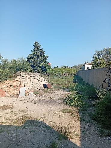 Torpaq sahələrinin satışı: 21 sot, Tikinti, Kupça (Çıxarış) — 4