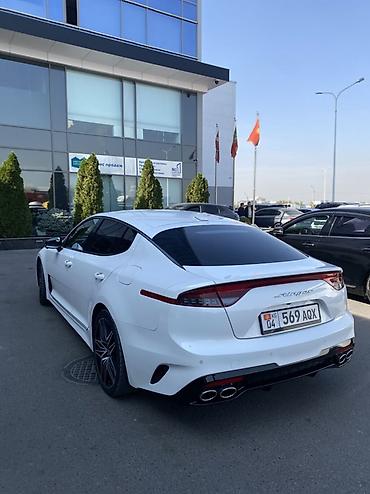 launch pro elite: Kia Stinger: 2021 г., 2.5 л, Бензин, Лифтбек — 2