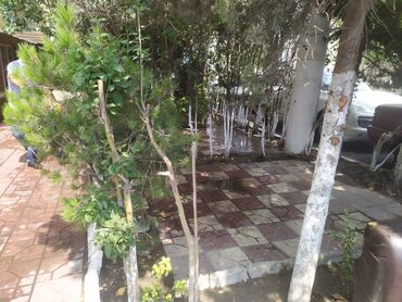 Restoran, kafelər: Nərimanov metrosuna yaxın yerləşən ümumi sahəsi 70 kv,m olan,1 sot — 8