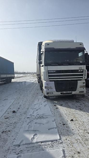 Тягачи: Тягач, DAF, 2006 г., Тентованный — 8