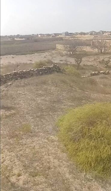 Torpaq sahələrinin satışı: 12 sot, Tikinti, Mülkiyyətçi, Kupça (Çıxarış) -da lalafo.az — 13 Torpaq sahələrinin satışı: 12 sot, Tikinti, Mülkiyyətçi, Kupça (Çıxarış) — 13