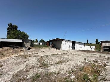ферма скотник: Farm КРС, 90 соток, С оборудованием, Электричество, Канализация, Отопление — 5
