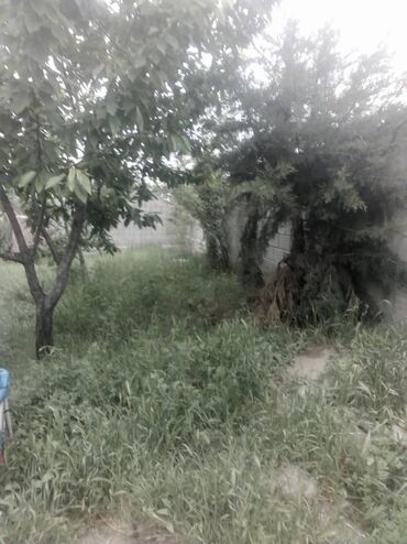 Продажа домов: Дом, 80 м², 4 комнаты, Собственник, Старый ремонт — 6