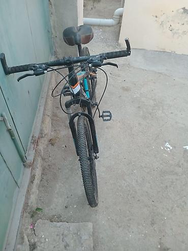 İdman velosipedləri: SAFT ZY550 dağ velosipedi - Çərçivə: yüngül alaşımlı — 1