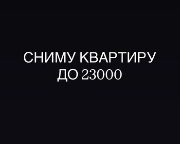 квартира без хозайын: 1 комната, 30000 м², С мебелью