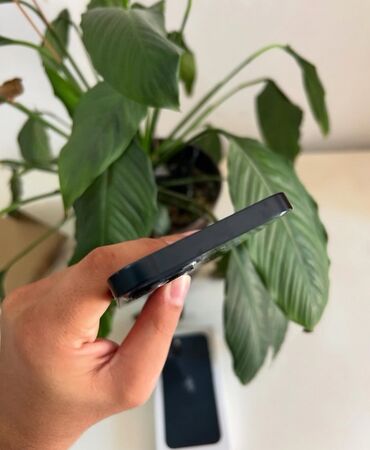 Apple iPhone: IPhone 13, Midnight, Face ID — 3