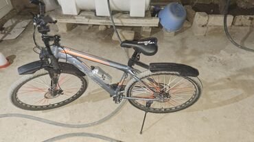 Dağ velosipedi Strim, 29"