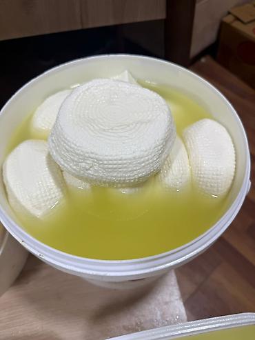 mozarella pendir: Salam pendir cesidleri kartof free restoranlara topdancilara serf — 6