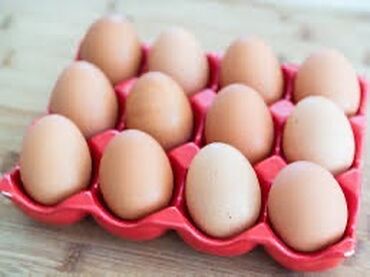 яйца гуся: Пищевые яйца Продаются яйца разных категорий В любом количестве