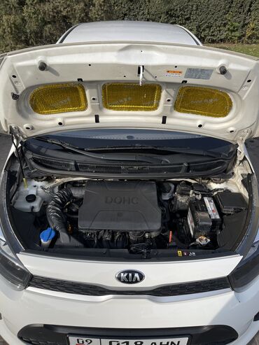 Kia: Kia Morning: 2019 г., 1 л, Автомат, Бензин, Хэтчбэк — 2