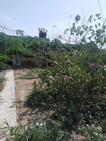 ramana sovxoz: Digah, 220 kv. m, 4 otaqlı, Hovuzsuz — 5