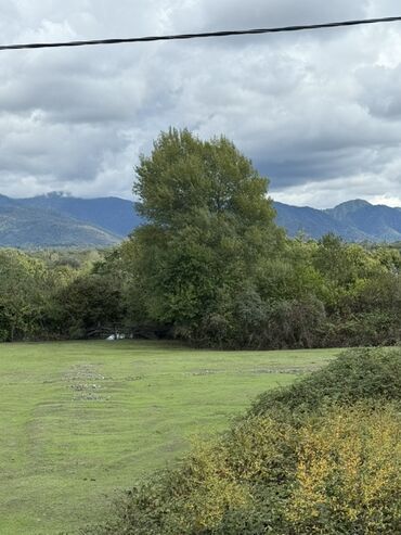Torpaq sahələrinin satışı: 23 sot, Tikinti, Mülkiyyətçi, Kupça (Çıxarış) -da lalafo.az — 10 Torpaq sahələrinin satışı: 23 sot, Tikinti, Mülkiyyətçi, Kupça (Çıxarış) — 10