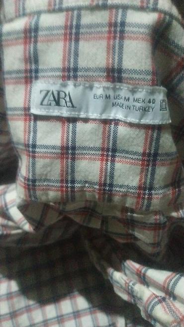Рубашки: Мужская рубашка, M, Zara basic, Новый, Самовывоз — 3