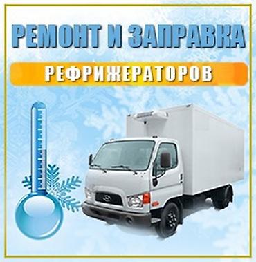 ремонт холодильной камеры: Ремонт, обслуживание и заправка авторефрижераторов - Диагностика — 2