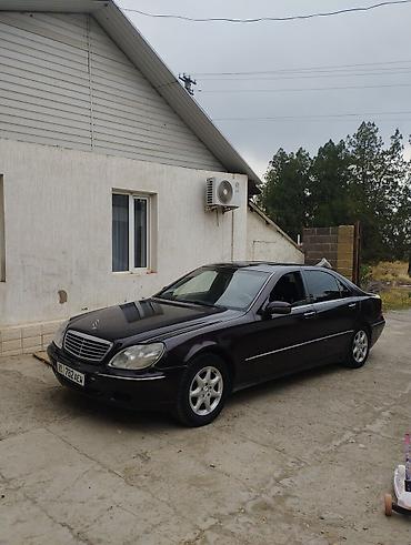 Mercedes-Benz S-Class: 2000 г., 4.3 л, Автомат, Бензин, Седан