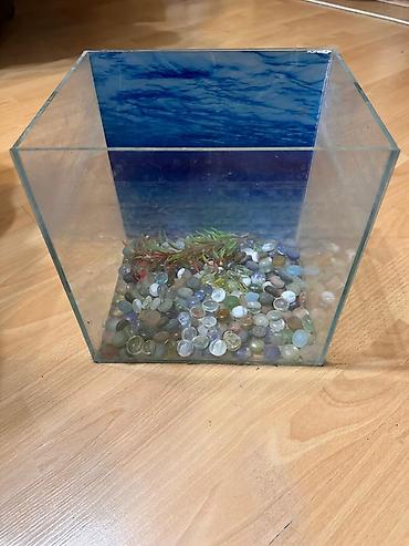 akvarium satışı: Dördbucaq akvarium, 10 l, Ünvandan götürmə, Ödənişli çatdırılma — 3