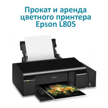 Принтеры: Аренда принтера Epson в Бишкеке. Прокат принтеров Принтер Epson L805