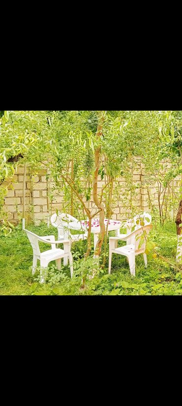 Günlük kirayə evlər: 100 kv. m, 3 otaqlı, İnternet, Telefon, Qaz — 17