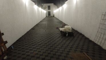 Masaüstü kompüterlər və iş stansiyaları: Her nov tamet bareyor aliwi vuruluwu yerine ve kivadirata gore deyiwir -da lalafo.az — 5 Masaüstü kompüterlər və iş stansiyaları: Her nov tamet bareyor aliwi vuruluwu yerine ve kivadirata gore deyiwir — 5