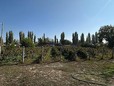 Продажа участков: 48 соток, Для строительства, Договор купли-продажи, Красная книга, Тех паспорт — 4