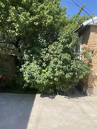 Продажа комнат: Продается дом в городе Кемин. Есть сарай, подвал, очок кана, времянка — 34